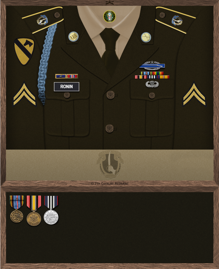 Bravo1_Ronin
